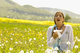 acupuncture for pain